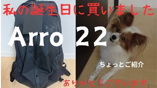 アークテリクス アロー２２買いました！私の誕生日プレゼントを自分で購入…最高です！最後にパピヨンココも出演 [upl. by Hanae293]