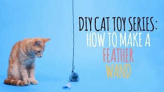 DIY Cat Toys  How to Make a Feather Wand [upl. by Enirak]