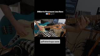 Diliberto Rosewood Jazz Bass Review [upl. by Reifinnej]