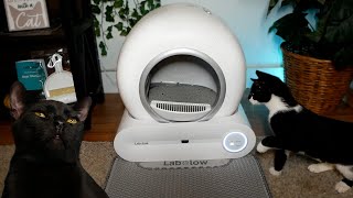 LABOLOW Automatic Litter Box  Unboxing amp Review [upl. by Accever]