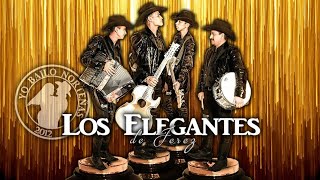 Los Elegantes de Jerez 2020 AlbumMIX DjTito [upl. by Dennis805]