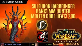 Sulfuron Harbinger Rank1 MM Hunter POV Molten Core Heat3 SOD [upl. by Catto806]