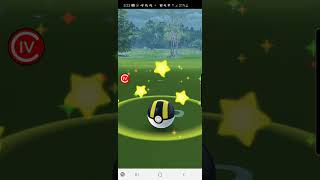 Pokémon GO 2020 Shiny Umbreon Hat Pikachu [upl. by Magill]