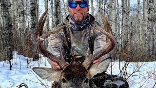 Whitetail Deer Hunting NW Saskatchewan [upl. by Sheba499]