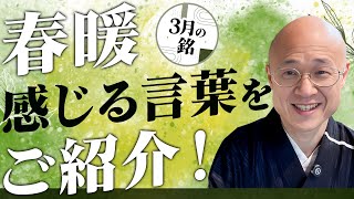 【茶道】３月の茶杓の銘｜春暖感じる季節の言葉 茶人 松村宗亮の一客一亭 [upl. by Jenda]