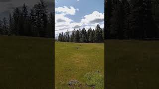 Umatilla National Forest Hiking [upl. by Nereil]