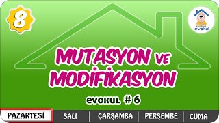 Mutasyon ve Modifikasyon  8Sınıf uzaktanegitim evokul Kampı [upl. by Calla]