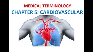 Language of Medicine Medical Terminology Chapter 11 Flashcards  Cardiovascular System [upl. by Anneis]