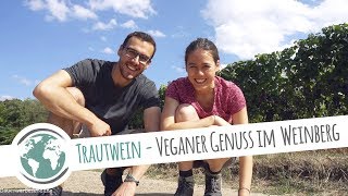 Veganer Genuss im Weinberg  Winzerhotel Trautwein  Deutschland  Vlog 009 [upl. by Nesnej]