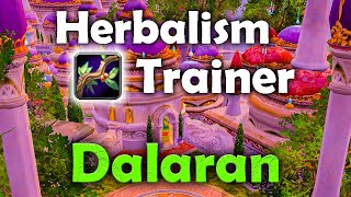 The Grandmaster Herbalism Profession Trainer in Dalaran City Location in WoTLK Classic [upl. by Aimik]