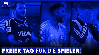 Hechelmann schämt sich Wird Ouwejan suspendiert Keine Unterstützung der Fans mehr  S04 NEWS [upl. by Cost]