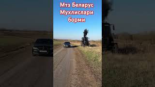 Трактор МТЗ беларус automobile avto farming autoindustriya юмор duet тикток rek agriculture [upl. by Mcgurn]