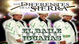 Los Diferentes De La Sierra  Juanita La Traicionera [upl. by Nahsin]