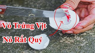 Ăn Trứng Vịt Bao Lâu Giờ Mới Biết Vỏ Trứng Vịt Lại Quý Giá Như Vậy  Trị Đau Bao Tử  Loét Bao Tử [upl. by Combs]