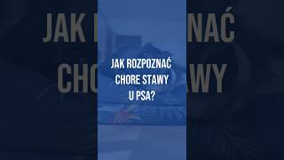 Jak rozpoznać chore stawy u psa [upl. by Adiehsar191]