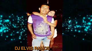 LOS HERMANOS MEZA MIX 2018 DJ ELVIS [upl. by Merilyn]