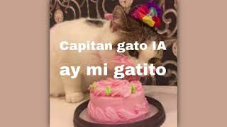 Capitan gato IA Ay mi gatito [upl. by Mickelson]