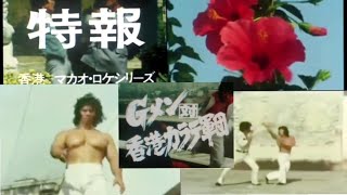 Gメン75🇯🇵 martial arts Master yang sze ヤン・スエ 倉田保昭 [upl. by Eisaj]