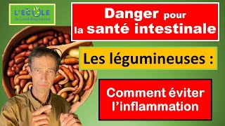 Digestion difficile et problème aux Intestins  pourquoi et comment TOUJOURS cuire les légumineuses [upl. by Shira]