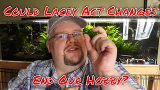 Could This End the Fish Hobby as We Know It Why the Lacey Act Matters [upl. by Notserc]