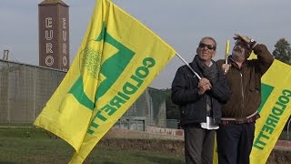 Una stalla davanti Euroma2 continua la protesta della Coldiretti a Roma [upl. by Aramit569]