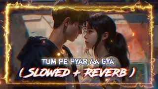 Tum Pe Pyar Aa Gya  Slowed  Reverb  New Hindi Song 2024  Hindi Lofi Song  Smart Lofi Xyz [upl. by Nowujalo]