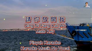 Qing Ni Fang Kai Wo  請你放開我   Karaoke  Musik [upl. by Anedal]