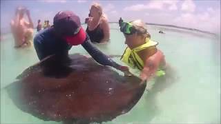 SWIMMING WITH STINGRAYS  Stingray City Antigua Caribbean [upl. by Colson301]