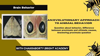 An Evolutionary Approach to Animal Behavior II Proximate and Ultimate Causes [upl. by Binetta]