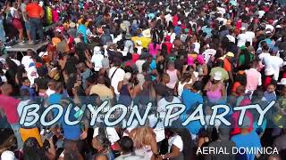 AERIAL DOMINICA  BOUYON PARTY [upl. by Shipley]