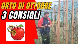 ORTO DI OTTOBRE e alla fine ti dico cosa fare agricoltura ottobre orto compost [upl. by Viccora]