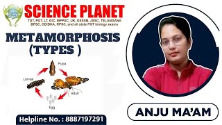 TYPES OF METAMORPHOSIS IN INSECTS II BY ANJU MAM [upl. by Kinney129]