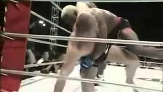 Fedor vsRandleman  SUPLEX [upl. by Nashbar699]