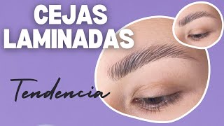 Cejas laminadas en tendencia ✨💄Efecto cejas planchadas 😱 cejaslaminadas cejasperfectas fyp [upl. by Pavlish]