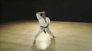 Kata Heian Shodan Kanazawa [upl. by Hersh308]