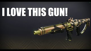 Are the new Iron Banner Guns Worth Anything  Riiswalker amp Lethal Abundance Review [upl. by Ahsihat]