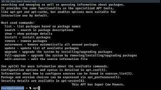 How to APT command in Linux [upl. by Salangi709]