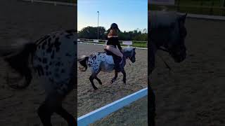 Avondje ponyclub bij de Valianten met Binkie 🏇💙 [upl. by Asiuol]