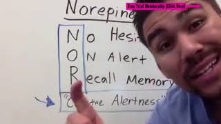 Psychiatric Pharmacology introduction norepinephrine dopamine serotonin part 1 of 30 [upl. by Rachelle]