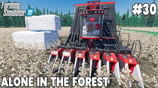 Harvesting Cotton amp Planting Wheat  Farming Simulator 22 Timelapse [upl. by Noerb]