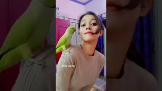 Dancing in the mirror with Sundari  Pet Parents  Birds Dance  Bird Love lovelypets birds [upl. by Yznyl]