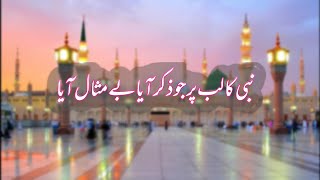 Nabi ka lab par jo zikr aaya  نبی کا لب پر جو ذکر ہے بےمثال آیا [upl. by Llerraf289]