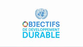 Connaissezvous chacun des 17 objectifs de développement durable [upl. by Borlow]