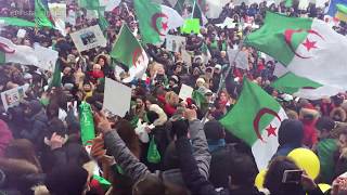 Algerian Protests in Montreal  مظاهرات الجزائريين في مونتريال كندا [upl. by Oilicec]