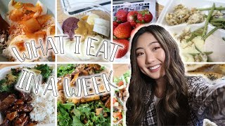 WHAT I EAT IN A WEEK AS A PREMED Realistic  Saving Money SelfCare Workouts  Covid Testing [upl. by Latvina]