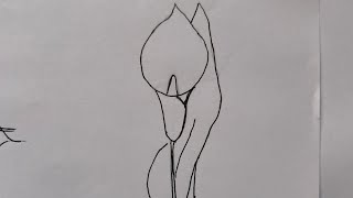 Calla lily Flower drawing  Calla lily flower drawing easy step by step [upl. by Clevie744]