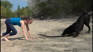 Unser Hund am Kollersee Ostern 2020 [upl. by Ahsikram]