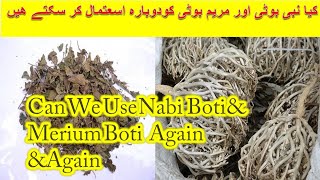 Can We use Nabi Boti Again  کیا نبی بوٹی اور مریم بوٹی کودوبارہ اسعتمال کر سکتے ھیں [upl. by Chor503]