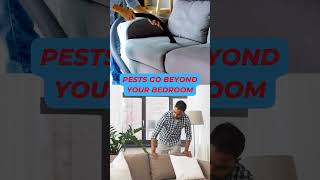 How To Get Rid of Bed Bugs Fast amp Easily [upl. by Andrus478]