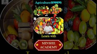 What are the different classifications of agriculture minsheacademy minshe geography [upl. by Agostino]